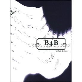 B4B (AD8313)